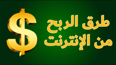 الربح من الانترنت